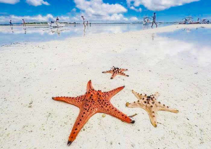 Philippines 6 Days Cebu and Bohol Island Cycling Tours